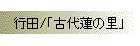 行田/「古代蓮の里」