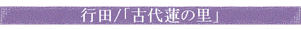 /ָϡΤ